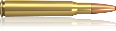 7 mm RemMag.