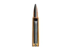 Náboj kulový Hornady, Custom, .30-06 Sprg., 220GR (14,2g), RN