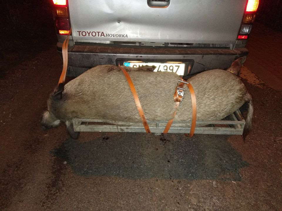 AM nosič na zvěř na tažné zařízení + šroubový pevný držák