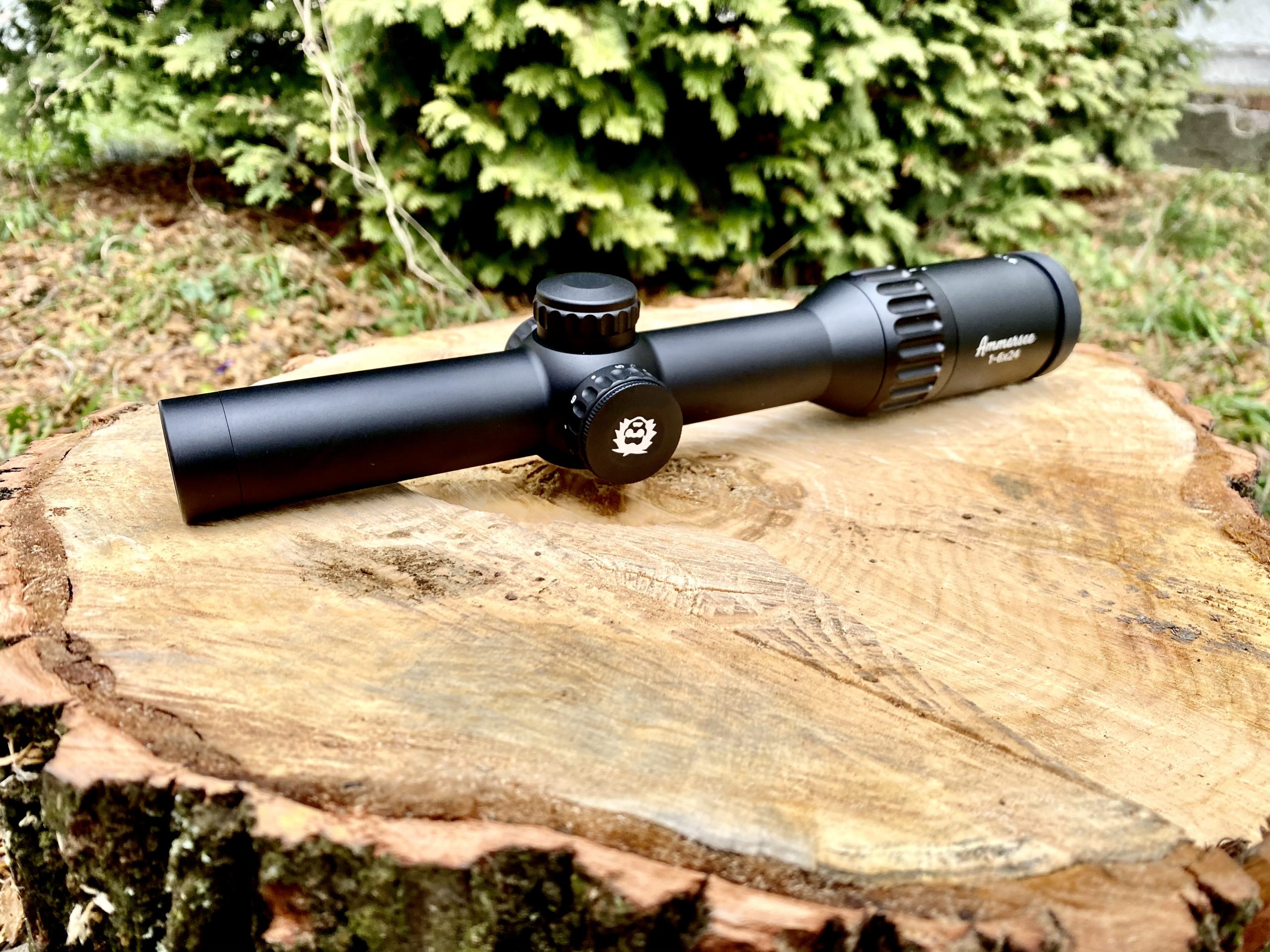 Professor Optiken Ammersee 1-6 x 24 HD